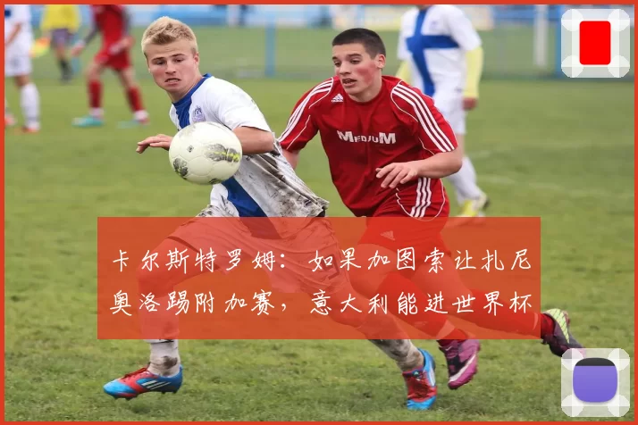 卡尔斯特罗姆:如果加图索让扎尼奥洛踢附加赛,意大利能进世界杯