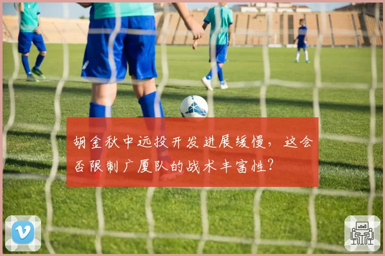 胡金秋中远投开发进展缓慢，这会否限制广厦队的战术丰富性？