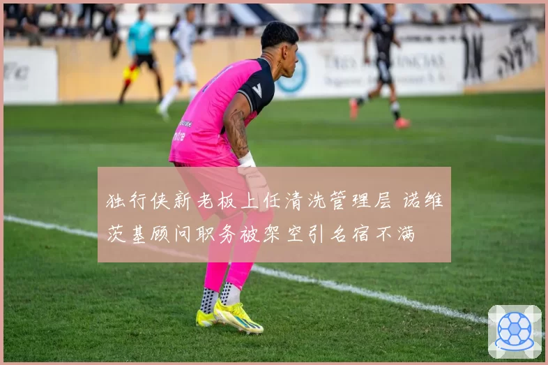 独行侠新老板上任清洗管理层 诺维茨基顾问职务被架空引名宿不满