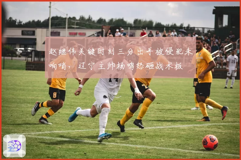 赵继伟关键时刻三分出手被侵犯未响哨，辽宁主帅杨鸣怒砸战术板