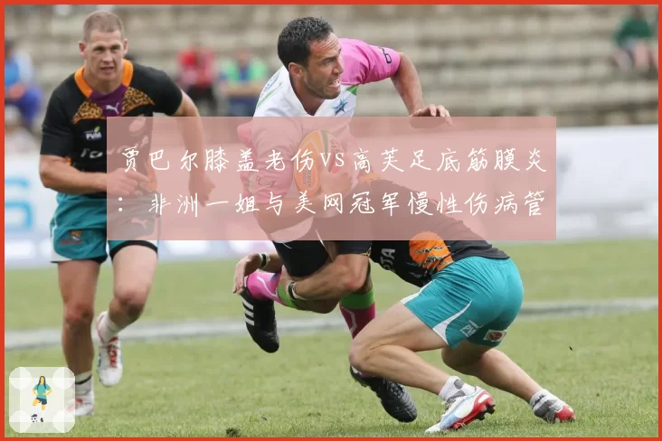 贾巴尔膝盖老伤vs高芙足底筋膜炎：非洲一姐与美网冠军慢性伤病管理的全年规划差异