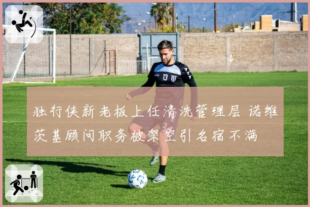 独行侠新老板上任清洗管理层 诺维茨基顾问职务被架空引名宿不满