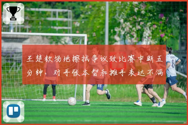 王楚钦场地擦拭争议致比赛中断五分钟，对手张本智和摊手表达不满