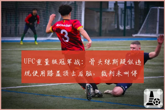 UFC重量级冠军战：骨头琼斯疑似违规使用膝盖顶击后脑，裁判未叫停遭白大拿维护